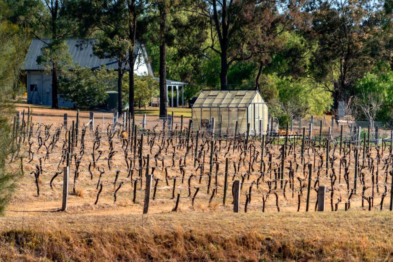 Thistle Hill Guesthouse - Walk To Many Wineries And Restaurants Pokolbin Eksteriør billede